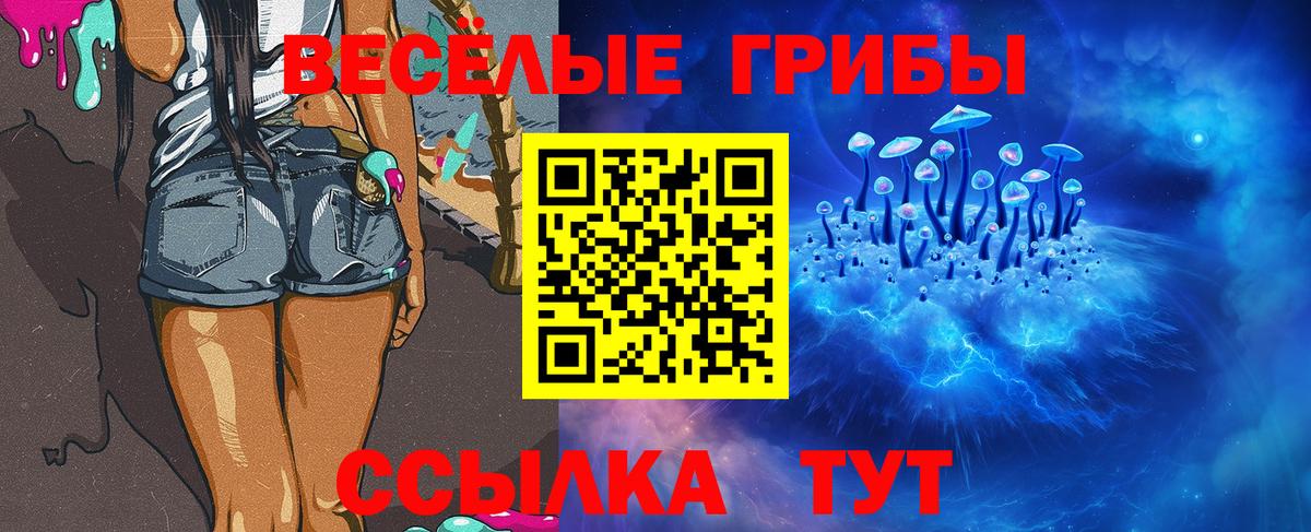 Дятьково  Псилоцибиновые грибы Magic Shrooms  Вход с VPN  Галлюциногенные грибы Psilocybine cubensis 