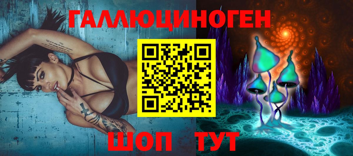 Псилоцибиновые грибы GOLDEN TEACHER Дятьково